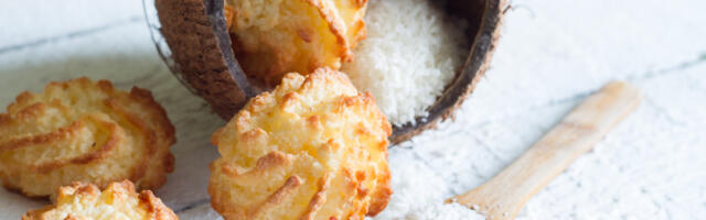 Puslice sa kokosom