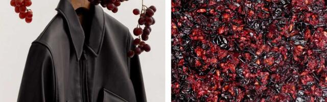 Jakna od recikliranog grožđa je idealna za vegane