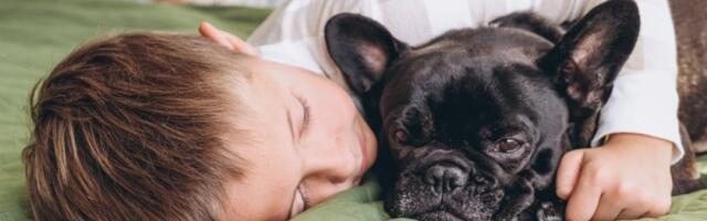 Veterinar upozorava na kraj života ljubimca: Tihi znak koji mnogi vlasnici propuštaju