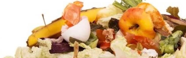 DETALJNO PERITE VOĆE I POVRĆE! OVIH OSAM OPASNIH PARAZITA se zbog male greške mogu naći na TANJIRU!