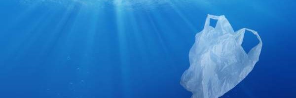 Naučnici kreirali genetski modofikovanu bakteriju koja jede plastiku