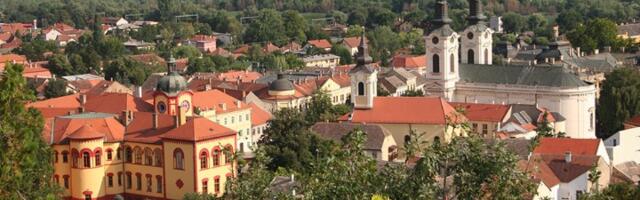 "Pustite ih sve!" Sutra u Sremskim Karlovcima skup podrške  novinarki koja dobija pretnje i sugrađaninu u pritvoru