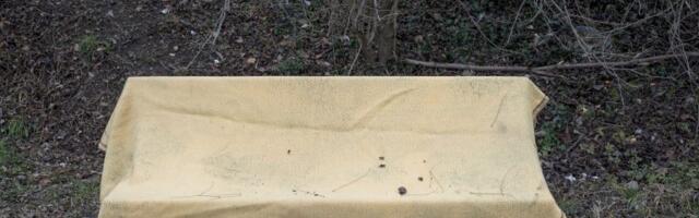 Između sećanja i sadašnjosti: „Ovo nije to mesto“ Stefane Savić (FOTO)