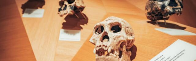 Da li najstariji predak čoveka POTIČE SA BALKANA? Novi fosil mogao bi da izmeni sve što znamo o poreklu ljudi