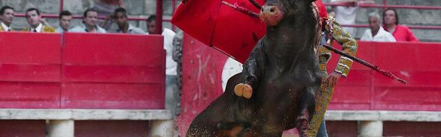 Toreador teško povređen tokom koride u Sevilji