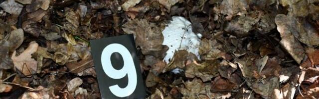 JECAJI I SUZE U KUĆI UBIJENOG NENADA KOD LEBANA! Dao im je parče hleba, a oni ga mučki ubili