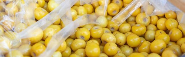 Zlatno voće koje čuva organe od glave do pete: Za njega retko ko zna, a održava organizam mladim