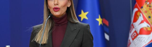 Minister Mesarovic speaks after Joint Commission meeting: Cooperation between Serbia and Hungary to intensify