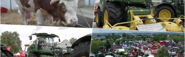 OVO JE BIK JABLAN OD SKORO 2 TONE, ZVEZDA NS SAJMA POLJOPRIVREDE! Mnogi dolaze samo njega da vide, ali i zver od kombajna koji košta POLA MILIONA EVRA (FOTO)