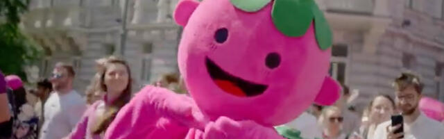 Pink voz koji vodi do festivala supe: Hladna, pink supa, turistička atrakcija (VIDEO)