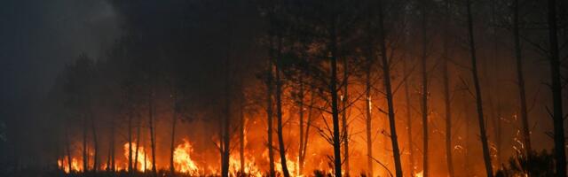Dramatični snimci požara u Evropi, retka pojava otežava situaciju: Evakuisano 375.000 ljudi, spaljeno 240 kuća