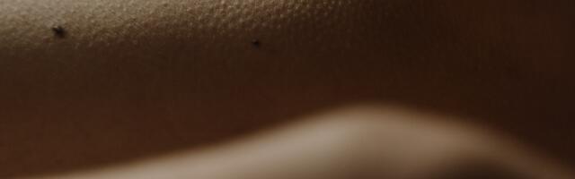 Šta se dešava u vašem telu kada se naježite