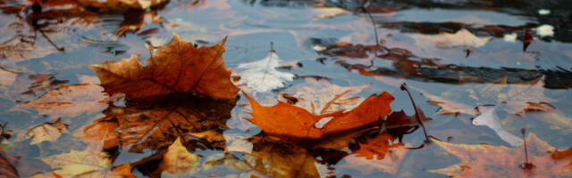 Kiša u prekidima do kraja sedmice: RHMZ objavio novu prognozu, i dalje stoji upozorenje na maglu