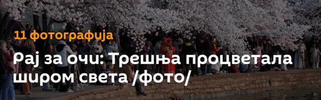 Рај за очи: Трешња процветала широм света /фото/