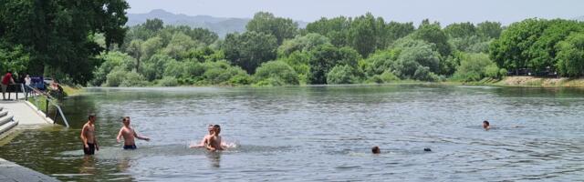 Rečni rakovi ponovo se pojavili u Moravi
