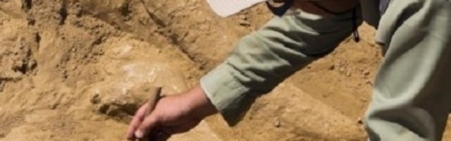 ŠOK OTKRIĆE U EGIPTU! Arheolozi su otvorili KOVČEG u kojem se nalazila MUMIJA, a onda su PRONAŠLI OVO