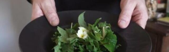 Ova salata podstiče rad jetre i čisti organizam! Zovu je "divlji detoks", pazite samo šta radi organizmu