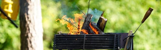 Ovaj biznis eksplodira za Prvi maj: Ulaganje minimalno, a zarada...