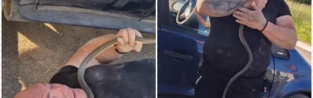 Drama na Đurđevdan: Vozača u Surdulici sačekao jeziv prizor u mercedesu, poznati zmijolovac morao hitno da interveniše