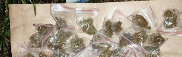 62 KESICE SA MARIHUANOM KRIO U KOLIMA Uhapšen mladić (25) u Beogradu
