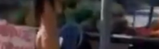 Gola devojka kupuje lubenice na Pančevačkom putu, ljudi u neverici zaustavljali automobile na ulici (VIDEO)