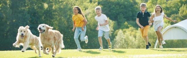 Stručnjak otkrio koje 3 rase pasa nikad ne bi čuvao: Prvo mesto je najveće iznenađenje (FOTO)