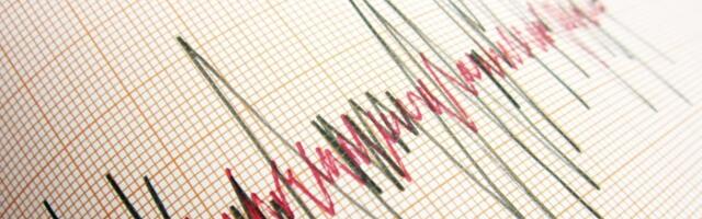 "Tutnjava se čula kao udar groma!": Zemljotres potresao Hrvatsku