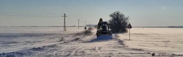 Nataša Velemir (NPS): Pustoš pored puteva – nestali vetrozaštitni pojasevi