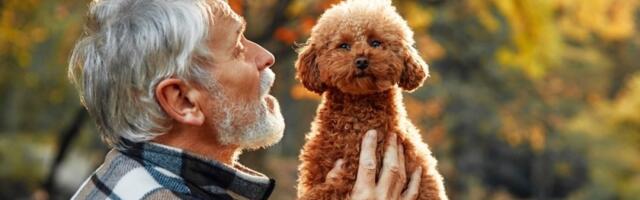 Da li životinje idu u raj? Odgovor veroučitelja će mnoge iznenaditi