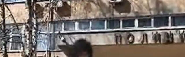 Блокадери у Краљеву зову на убиство председника Вучића