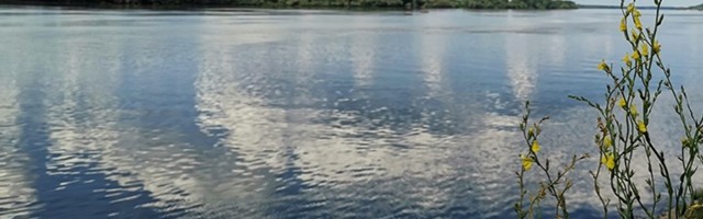 Telo muškarca izvučeno iz Dunava