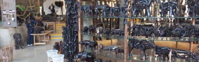 BRATSTVO ČVRSTO KAO EBONOVINA: Širom Tanzanije, u radionicama- galerijiama, rezbare se skulpture, čiju estetiku je razvio narod Makonde