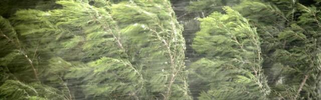 SRBIJA NA UDARU OLUJE: Orkanski vetar, grmljavina i nagli pad temperature