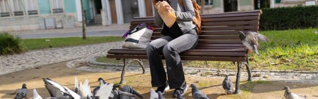 Zašto nikada ne viđamo mlade golubove?! Ovo pitanje muči mnoge ljude, a evo odgovora