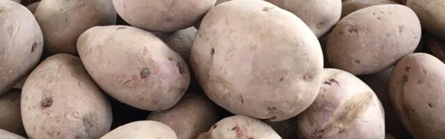 Više nikad nećete ni pomisliti da bacite mrežicu od krompira! Menja 3 stvari koje uvek kupujete