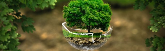 It’s not News.net: Belgrade in the race for GREEN CAPITAL Award