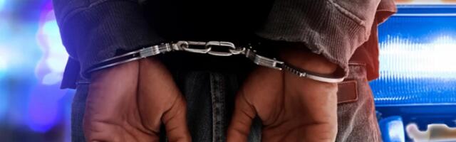 TINEJDŽER (18) ČAK 24 PUTA UKRAO! Novosadska policija uhapsila serijskog lopova: Krao i od GRAĐANA!