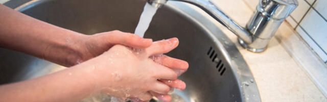 Настављено ширење хепатитиса А