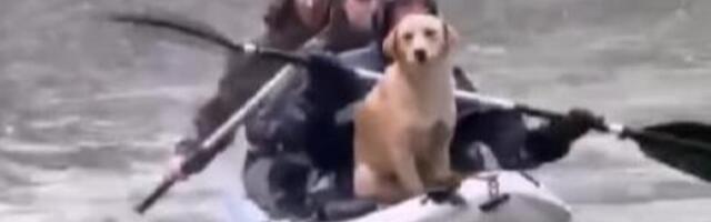 "DA JE MADURO IMAO OVAKAV TIM SPECIJALACA, NE BI BIO UHAPŠEN" Snimak iz Nikšića vraća veru u ČOVEČANSTVO (VIDEO)