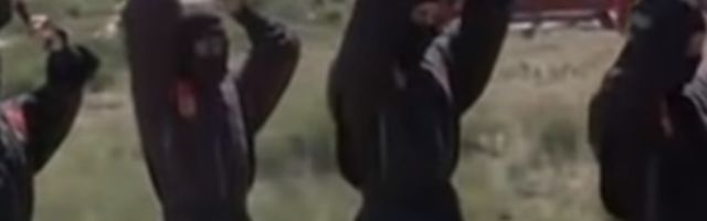 Završite studije i postanite diplomirani Nindža!