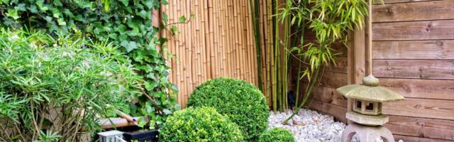 Kako da napravite sopstveni japanski Zen vrt u bašti
