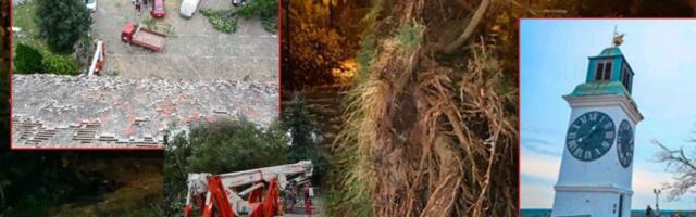 Pas pao sa Petrovaradinske tvrđave, vlasnica skočila za njim! Drama u Novom Sadu