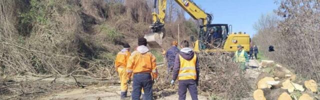 KLIZIŠTE OBORILO STABLA NA PUTU IZMEĐU PETROVARADINA I SREMSKIH KARLOVACA: Radove na sanaciji obišli predstavnici Grada Novog Sada