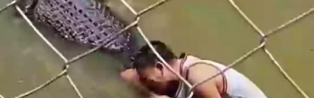 Mislio da je krokodil statua, ušao da se slika – završio sa 50 šavova i traumom za ceo život