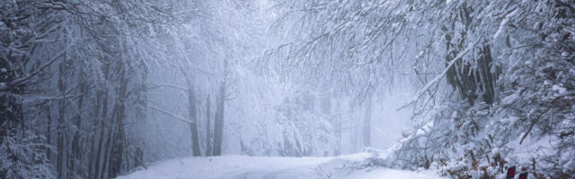 Minus, sneg i košava: Meteorolog Ristić otkriva kada će se zabeleti u Srbiji, biće dosta hladnih dana