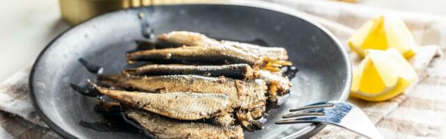 Kad ovo saznate nikad je više nećete zaobilazitit: Za ovu ribu u konzervi kažu da je bolji izbor tunjevine