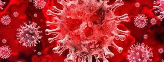 EPIDEMIJSKA SITUACIJA U KRALJEVU