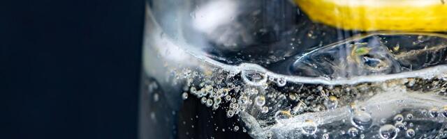 Evropski sud pravde: Bezalkoholni džin ne postoji