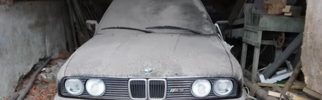 U ŠTALI PRONAŠLI PRAŠNJAVU ZVER KOJA VREDI STOTINE HILJADE EVRA: Kad su otvorili vrata ostali šokirani prizorom!