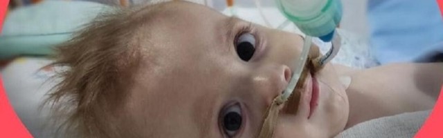 "USPELI SMO": Sakupljen novac, Boško ide na lečenje